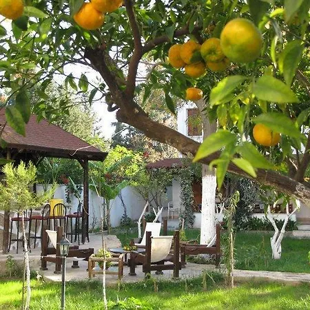 Aparthotel Kontes Apart *